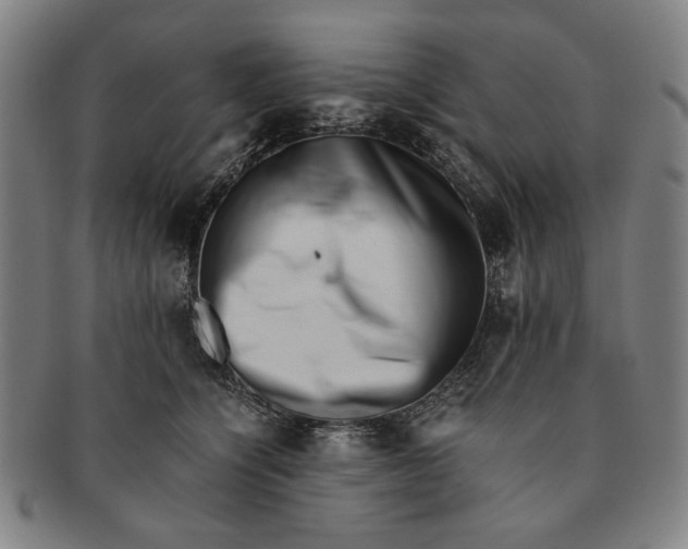 X0000091220564200708301454