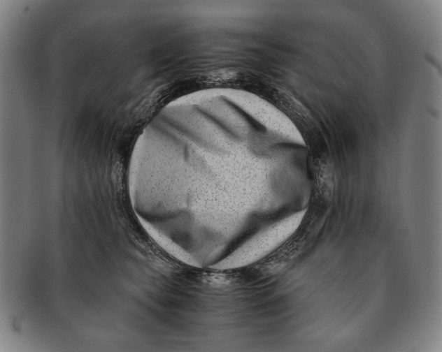 X0000091220565200708301454