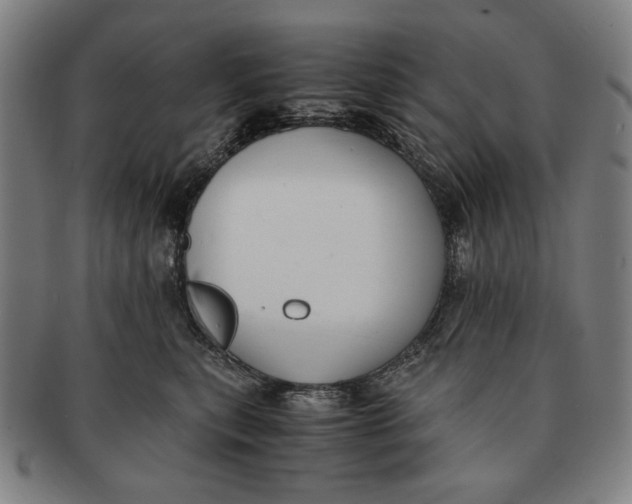 X0000091220567200708301454