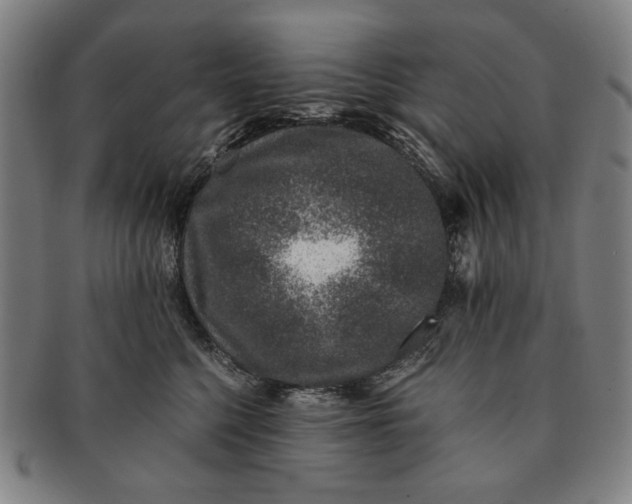 X0000091220568200708301454