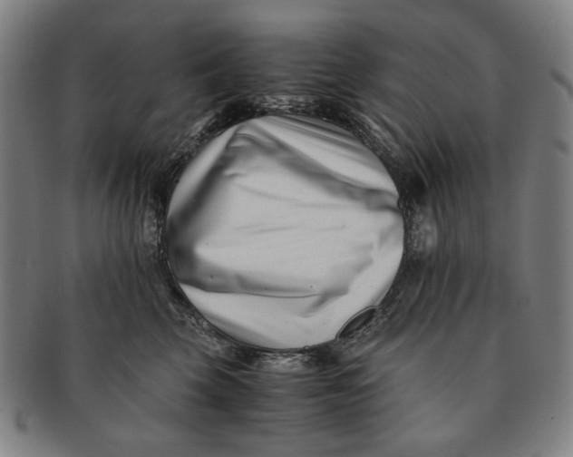 X0000091220569200708301454