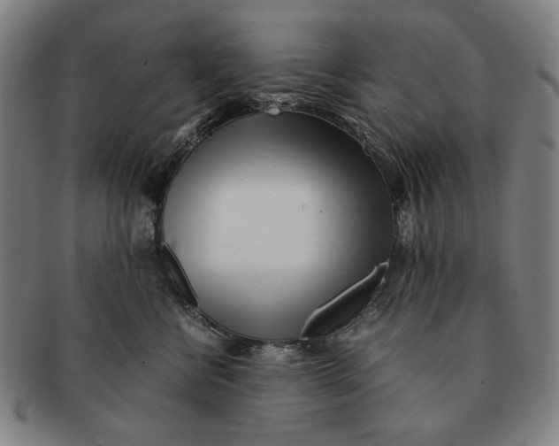 X0000091220570200708301454