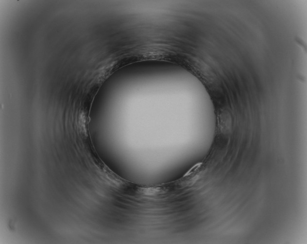 X0000091220575200708301454