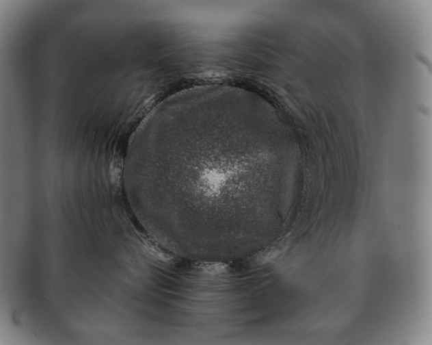 X0000091220576200708301454