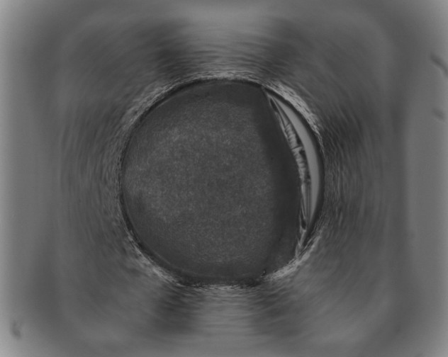 X0000091220577200708301453