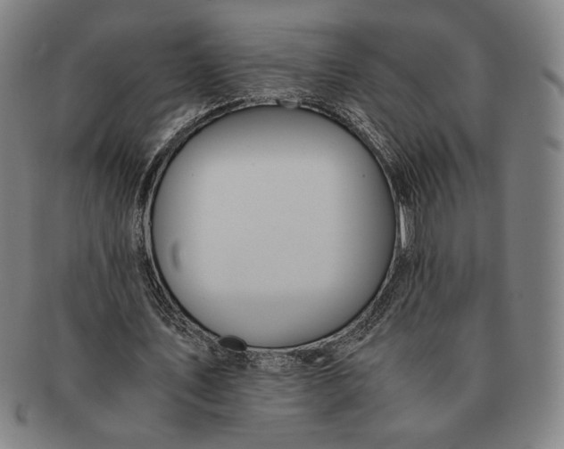 X0000091220579200708301453