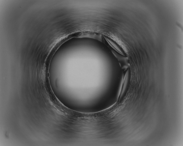 X0000091220580200708301453