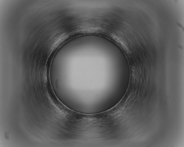 X0000091220582200708301453