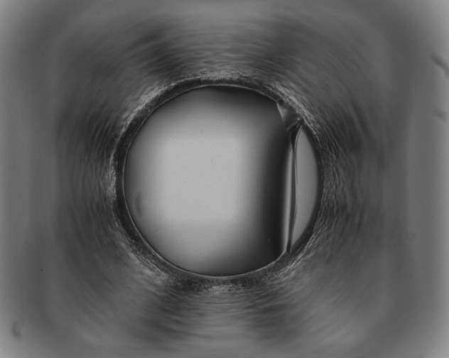 X0000091220584200708301453