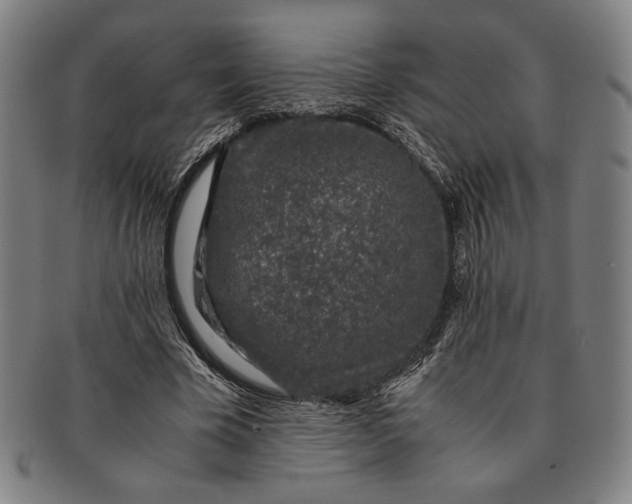 X0000091220585200708301453