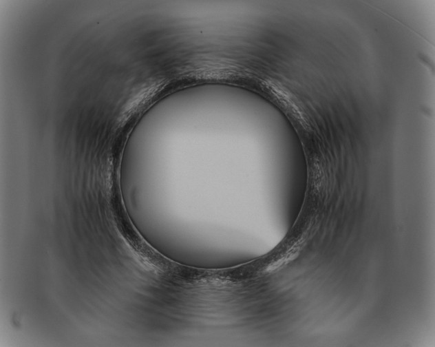 X0000091220586200708301453