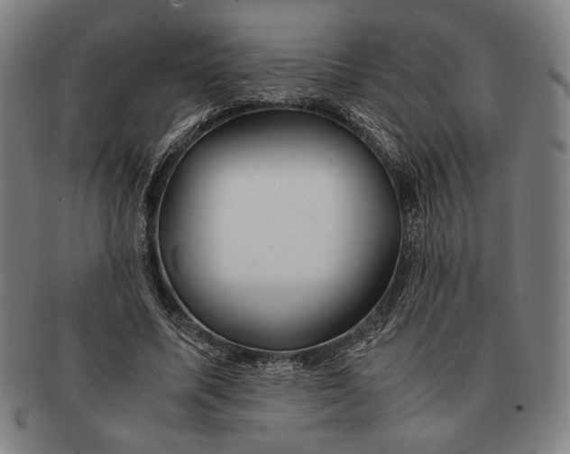 X0000091220587200708301453