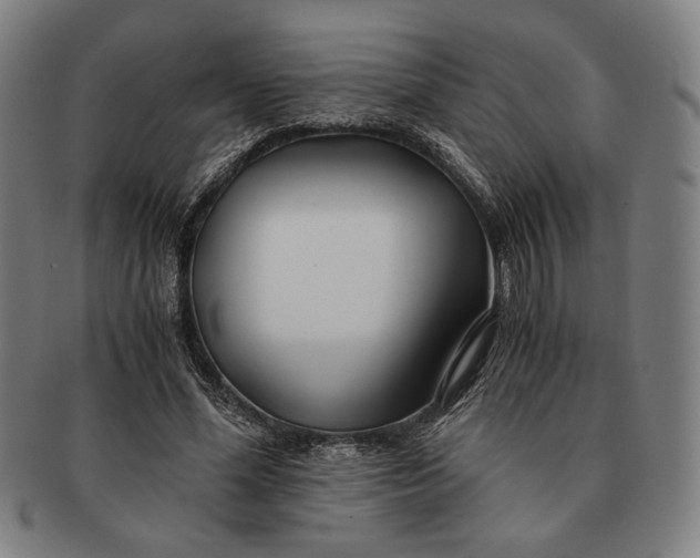 X0000091220588200708301453