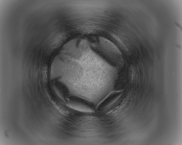 X0000091220590200708301453