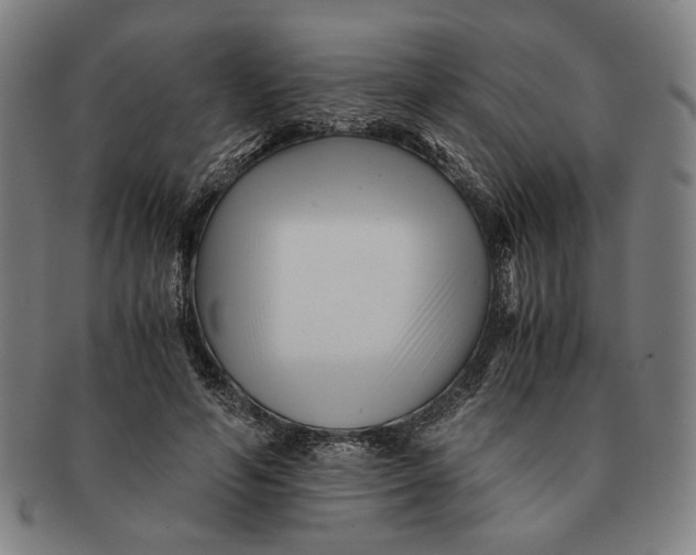 X0000091220594200708301453