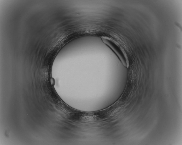 X0000091220595200708301453