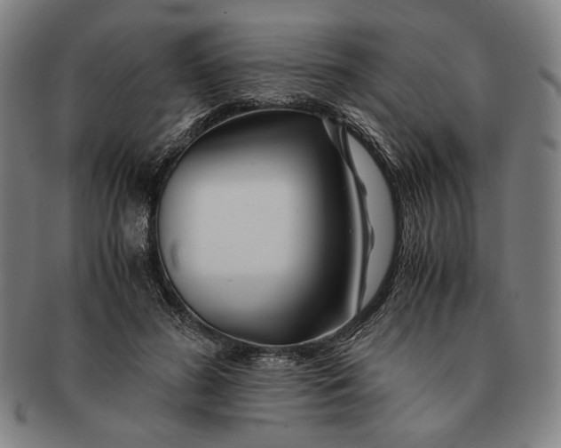 X0000091220596200708301453