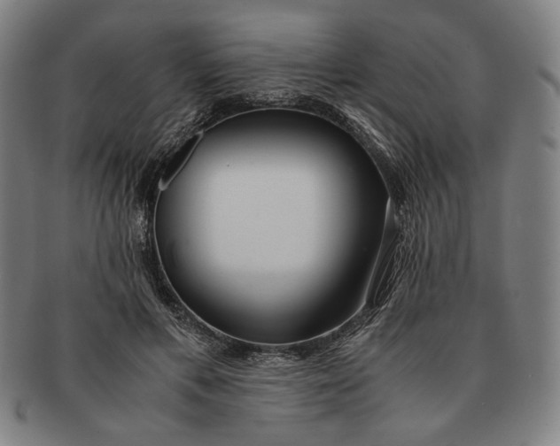 X0000091220597200708301453