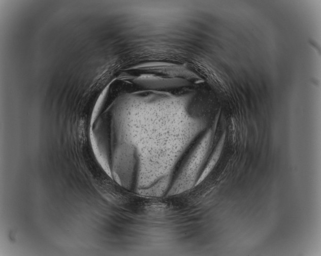 X0000091220598200708301453