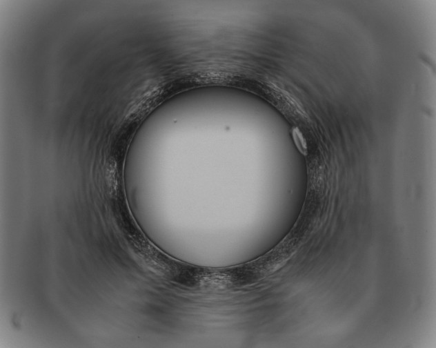 X0000091220599200708301453