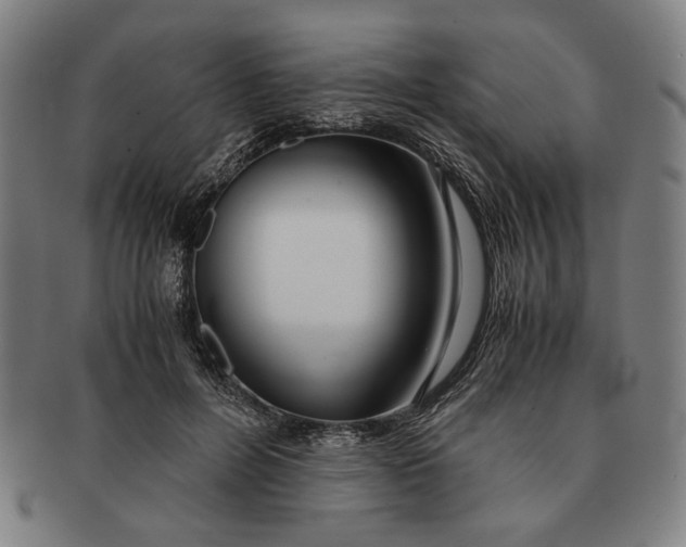 X0000091220600200708301453