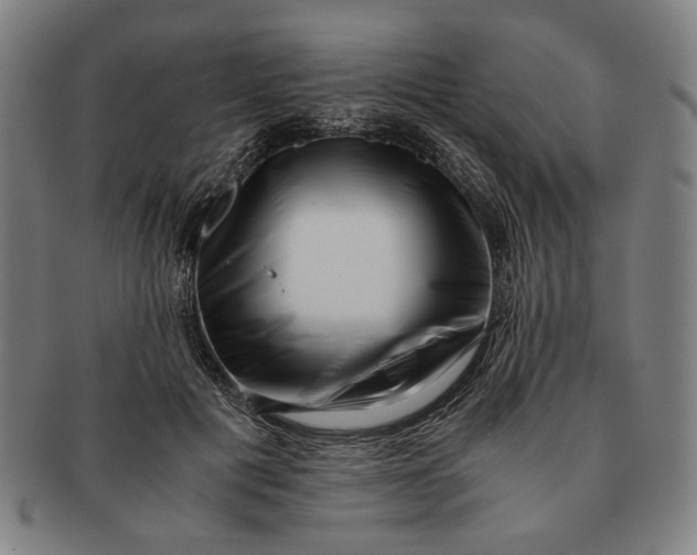 X0000091220601200708301453