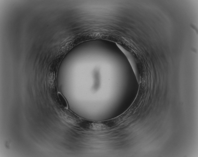 X0000091220605200708301453