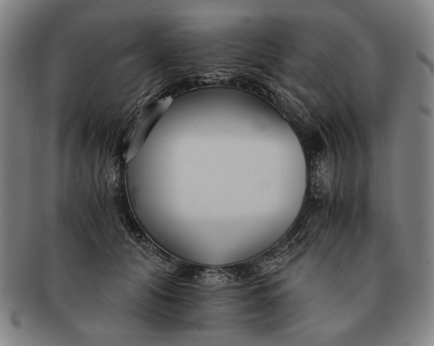 X0000091220608200708301453