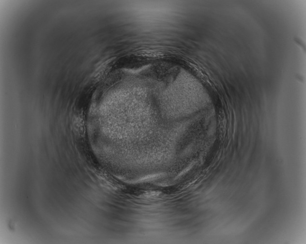 X0000091220609200708301453