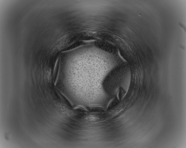 X0000091220610200708301453