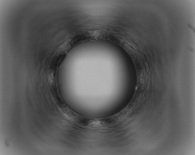 X0000091220611200708301453