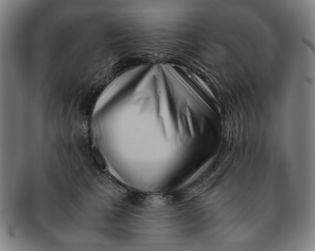 X0000091220613200708301453