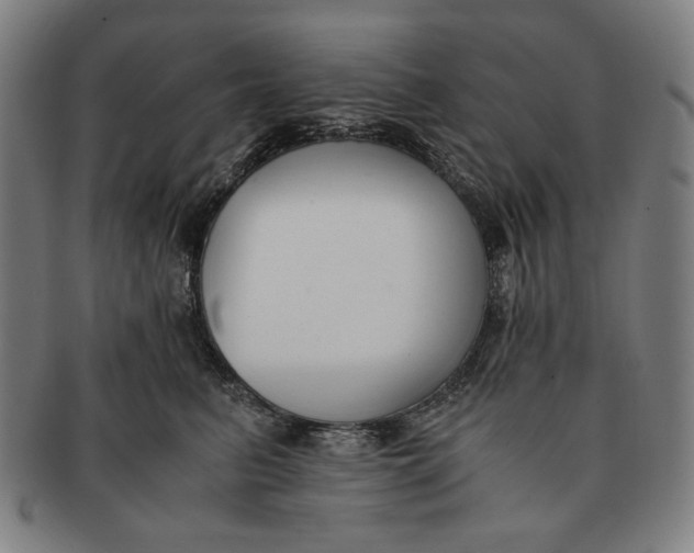 X0000091220615200708301453