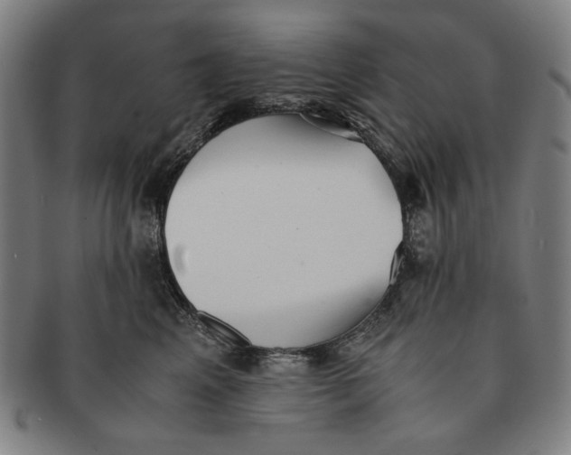 X0000091220617200708301453