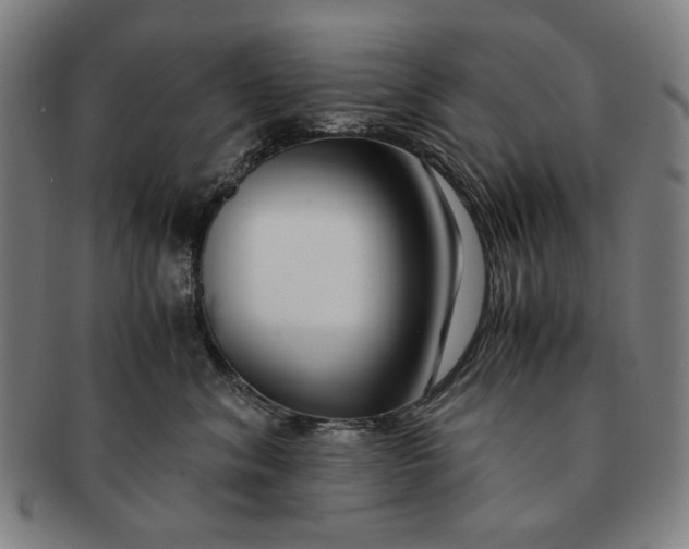 X0000091220620200708301453