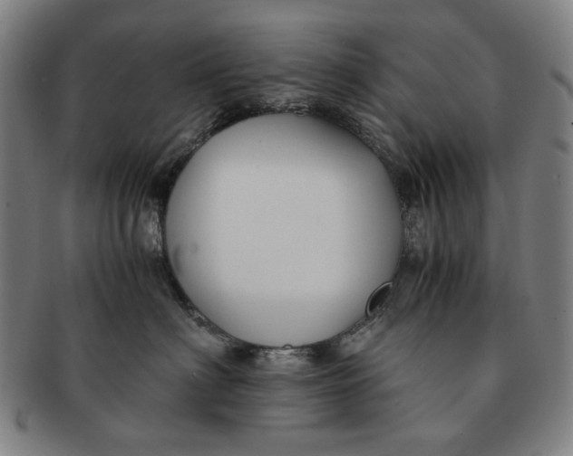 X0000091220622200708301453