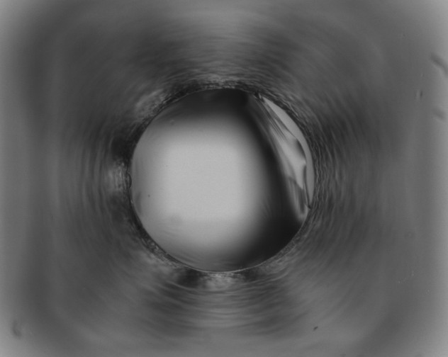 X0000091220623200708301453