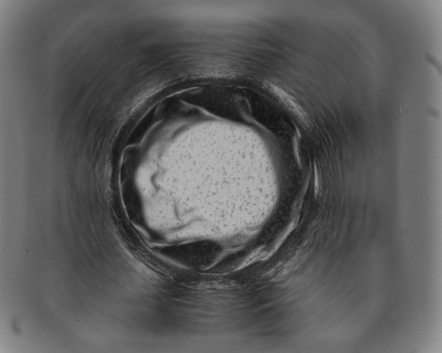 X0000091220627200708301452