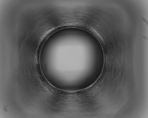 X0000091220628200708301452