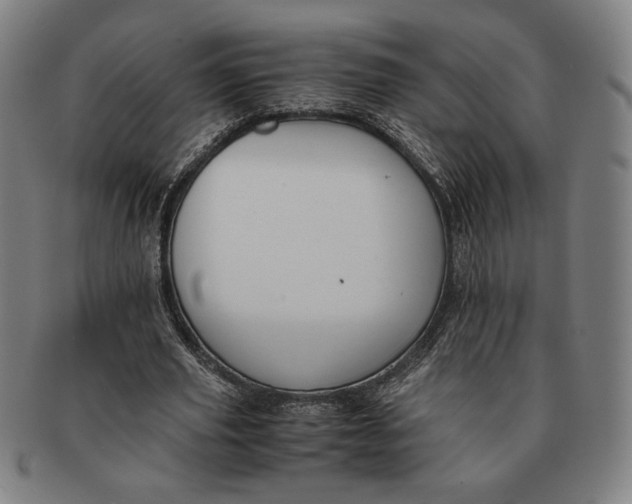 X0000091220629200708301452