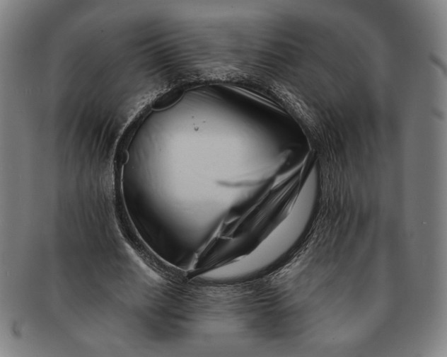 X0000091220630200708301452