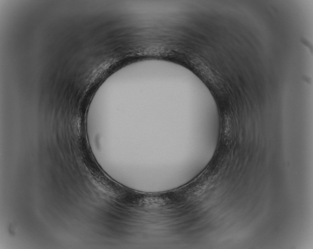 X0000091220636200708301452