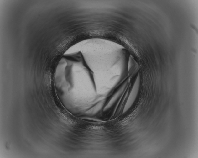 X0000091220637200708301452