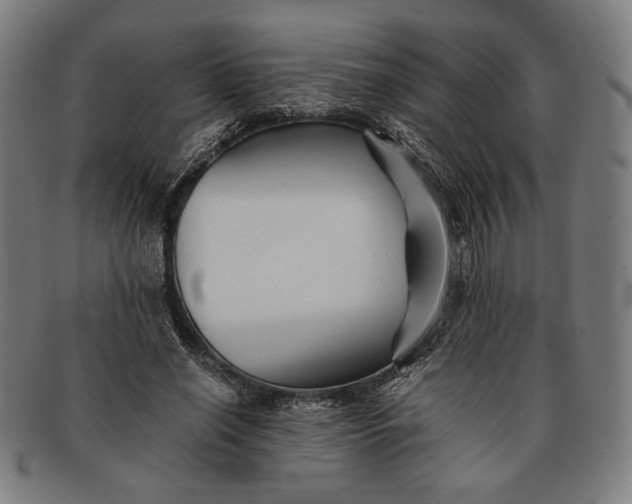 X0000091220638200708301452