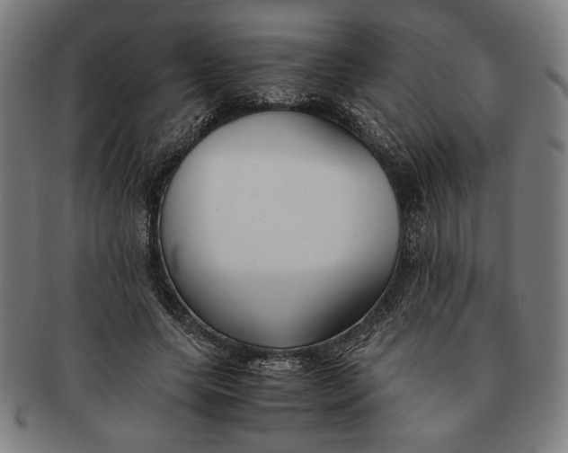 X0000091220639200708301452