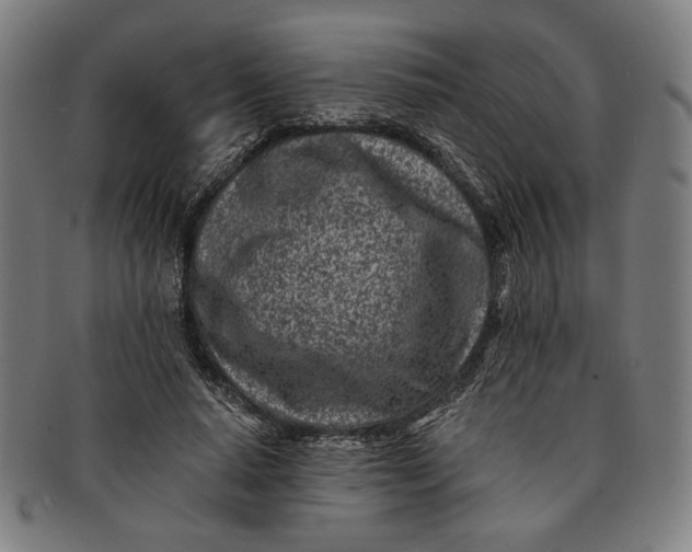 X0000091220640200708301452