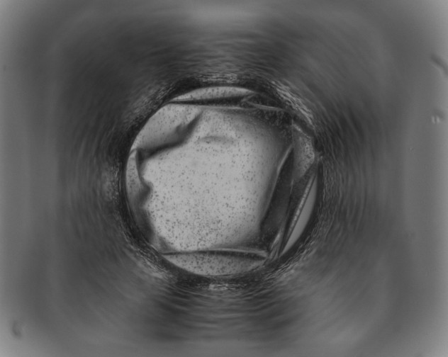 X0000091220641200708301452