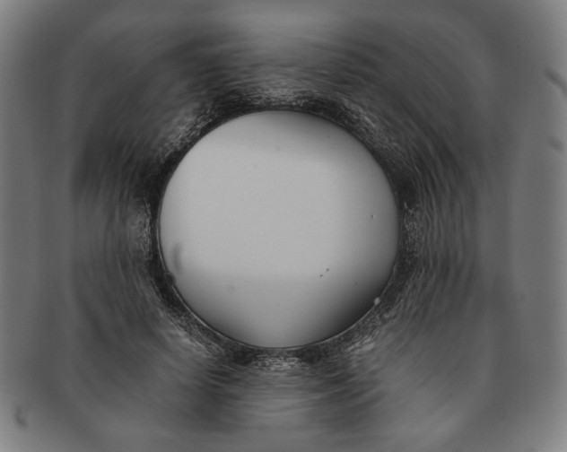 X0000091220642200708301452