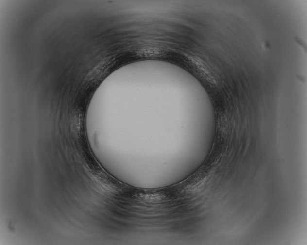 X0000091220645200708301452