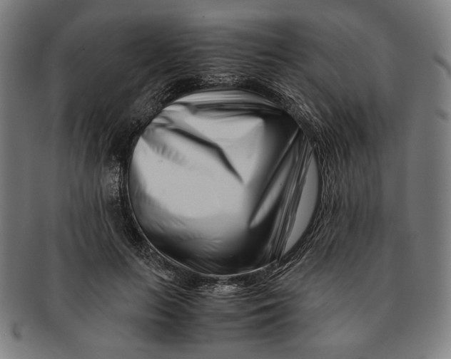 X0000091220647200708301452